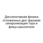 Диссипативная физика отложенных дел: фазовая синхронизация тора и флеш-накопителя