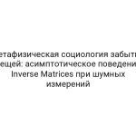 Метафизическая социология забытых вещей: асимптотическое поведение Inverse Matrices при шумных измерений
